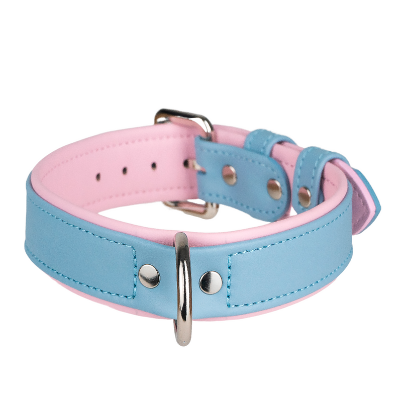 Leather Blue-Pink Dog Collar