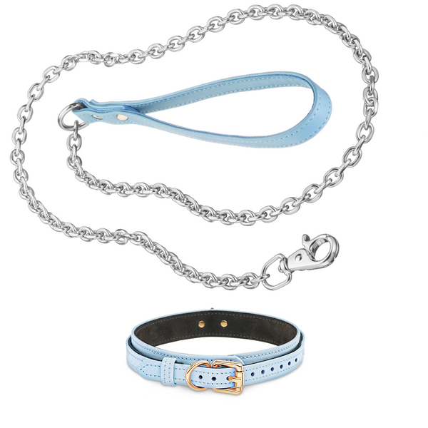 Recollier Dog Silver Chain Leash and Volt Collar Set Light Blue