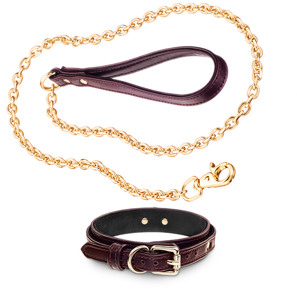 Recollier Dog Gold Chain Leash and Volt Collar Set Burgundy