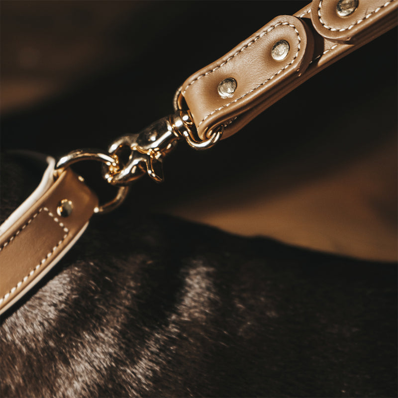 Leash CTRL and Collar Caramel with Gold Hardware