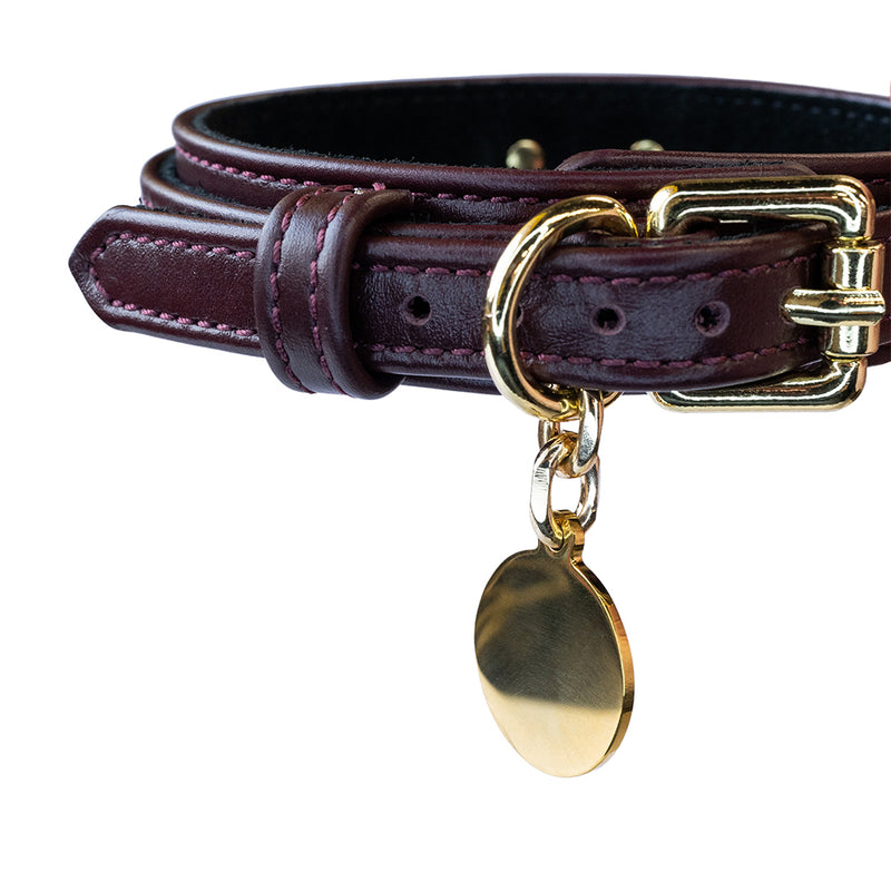Dog Tag Circle Gold with Collar
