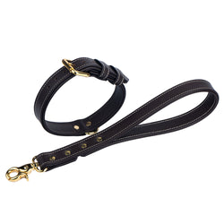 Dark Chocolate leather collar and leash