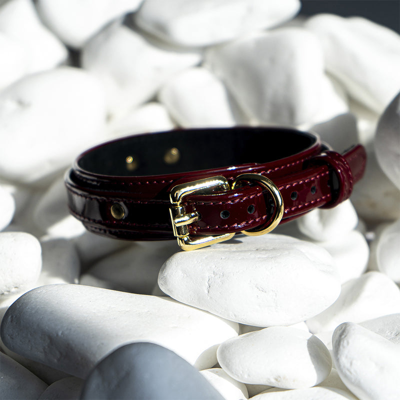 Premium Dog Burgundy Patent Collar with Soft Suede on White Stone