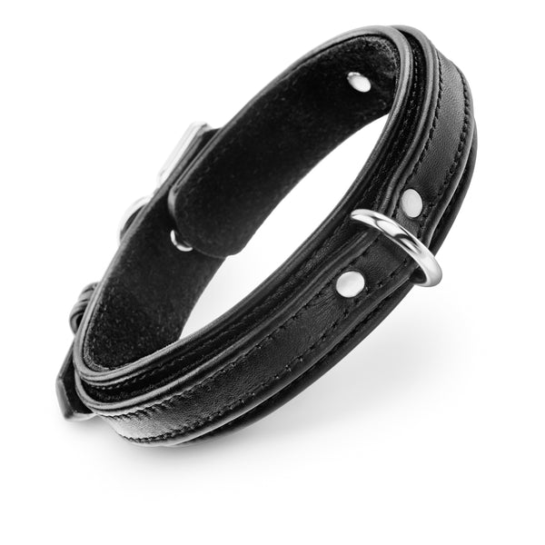 Dog Black Volt Collar with Soft Suede