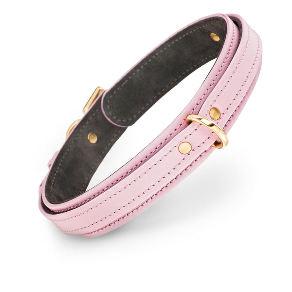 Dog Pink Volt Collar with Soft Suede