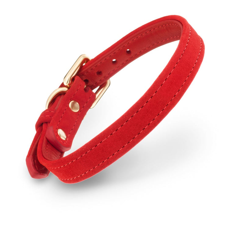 Velvet Red Collar Scarlett