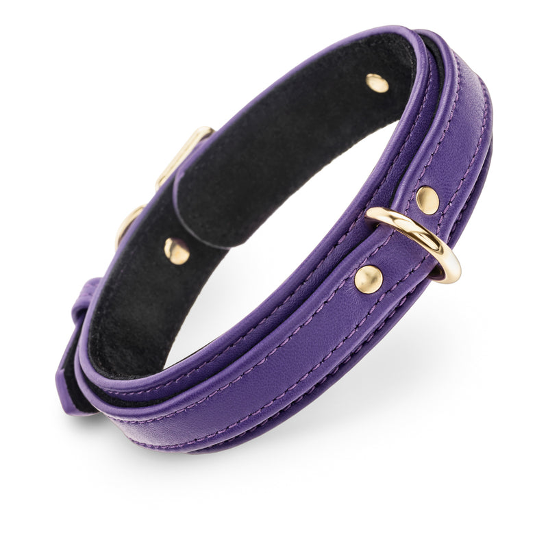Premium Dog Violet Collar with Soft Suede