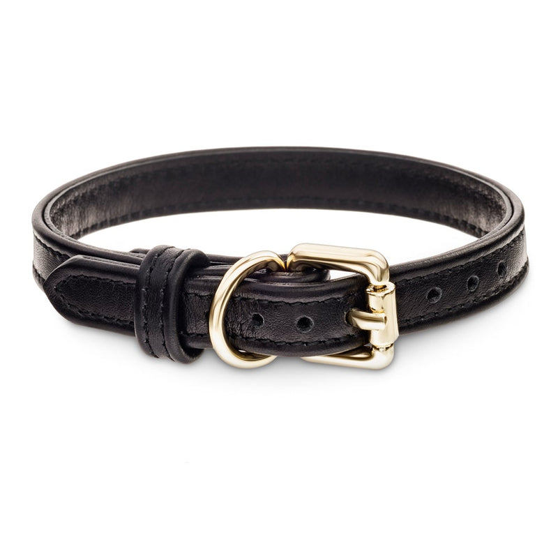 Dog Collar with Gold Hardware