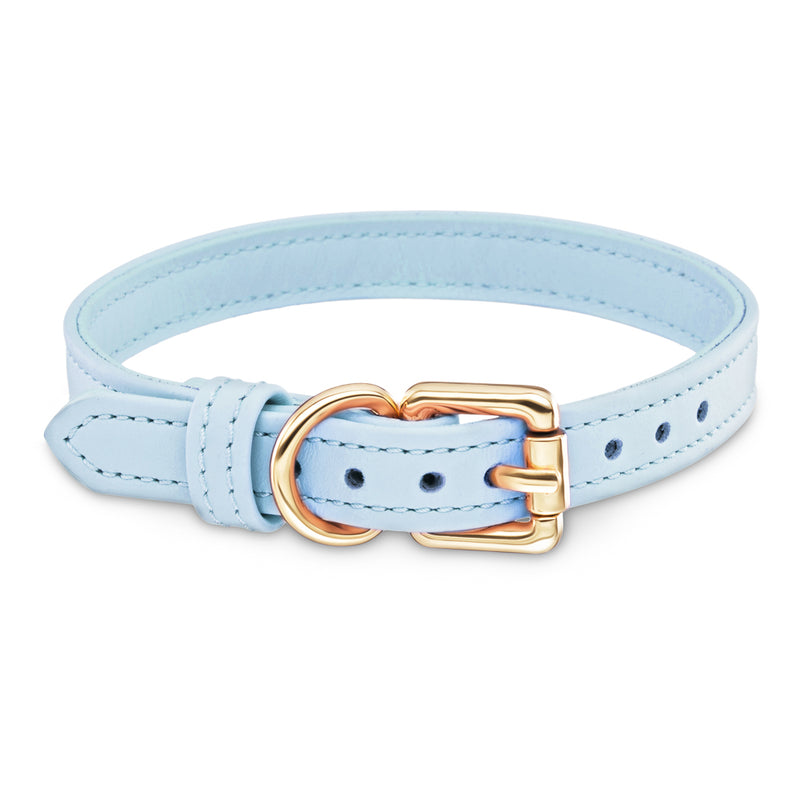 Dog Blue Collar with Gold Hardware