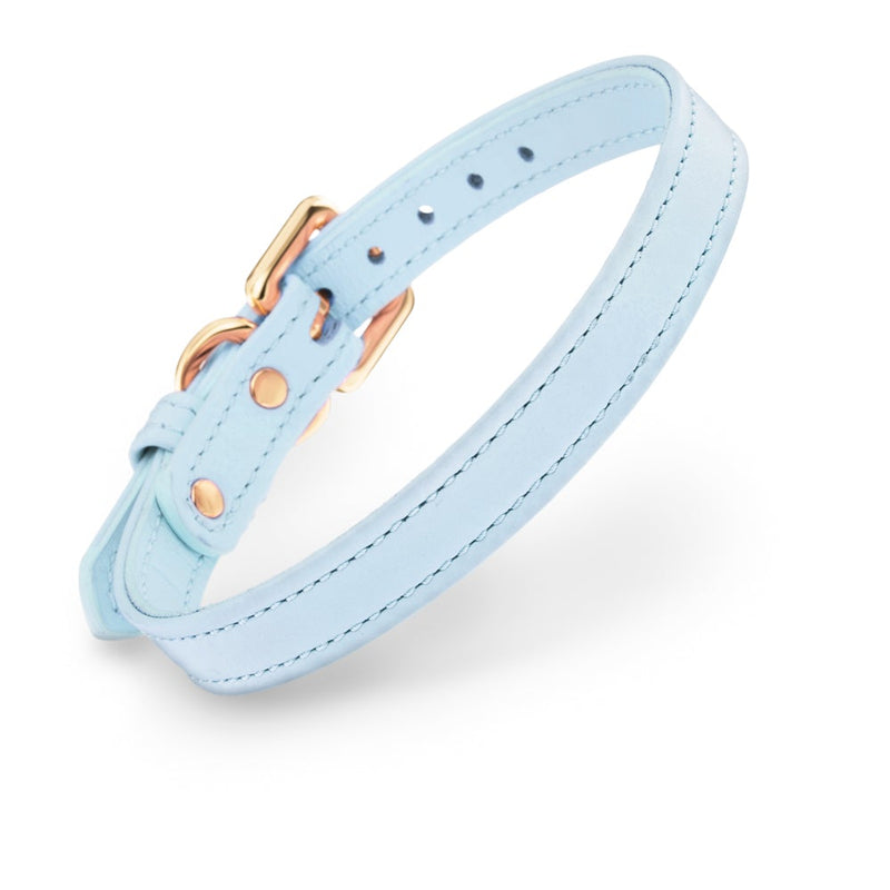 Dog Leather Blue Collar