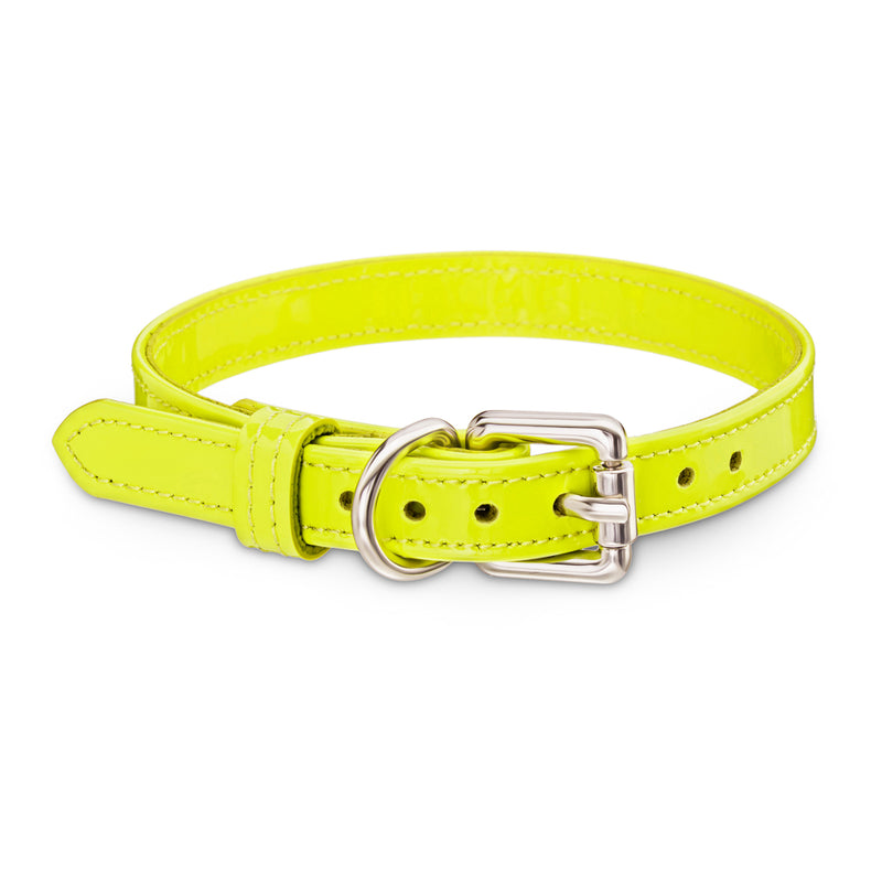 Dog Yellow Neon Collar with Silver Hardware