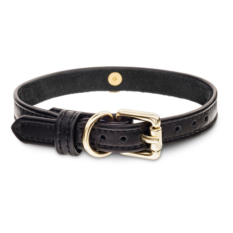 Dog Black Collar with Metal Ring Another Side