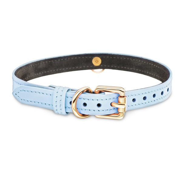 Dog Blue Collar with Metal Ring Another Side