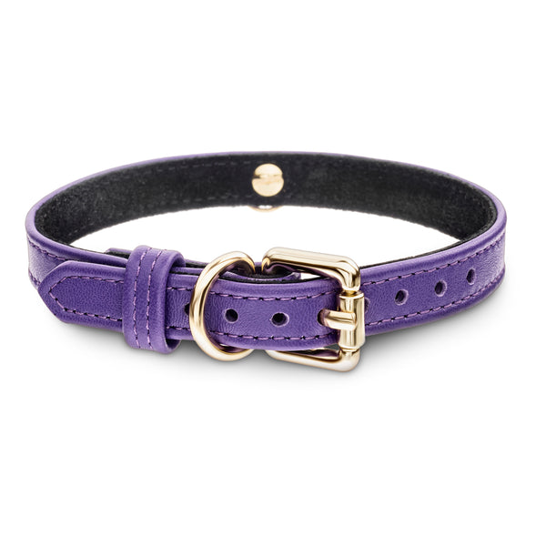 Dog Violet Collar with Metal Ring Another Side