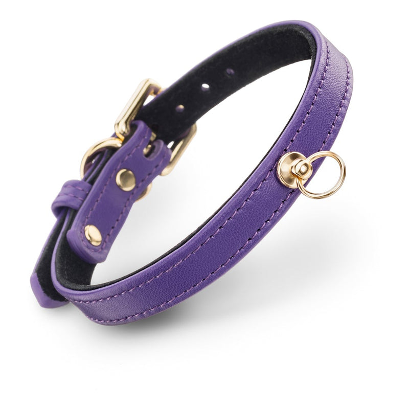 Dog Violet Collar with Metal Ring