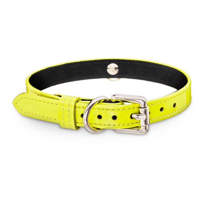 Dog Yellow Neon Collar with Metal Ring Another Side