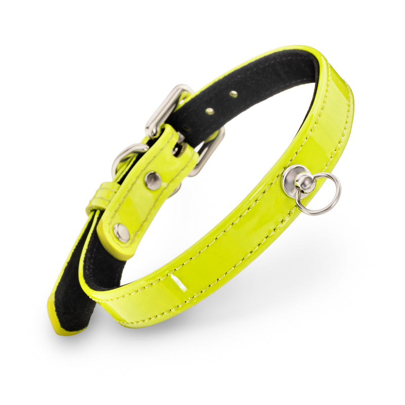 Dog Yellow Neon Collar with Metal Ring