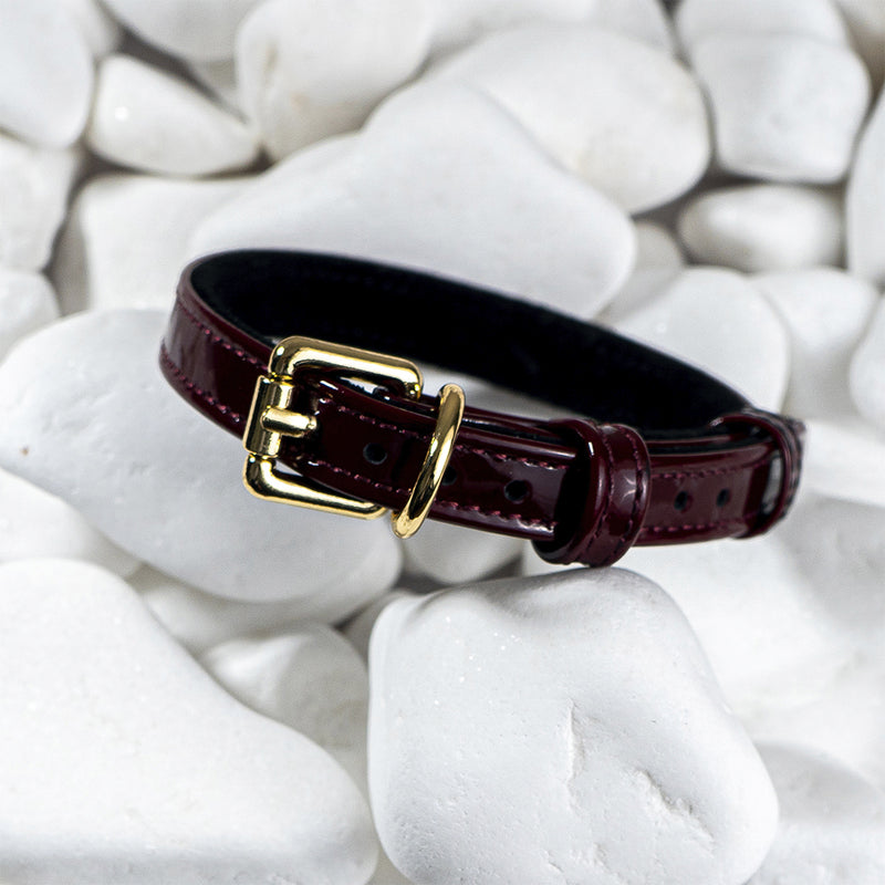 Leather Burgundy Collar on White Stone