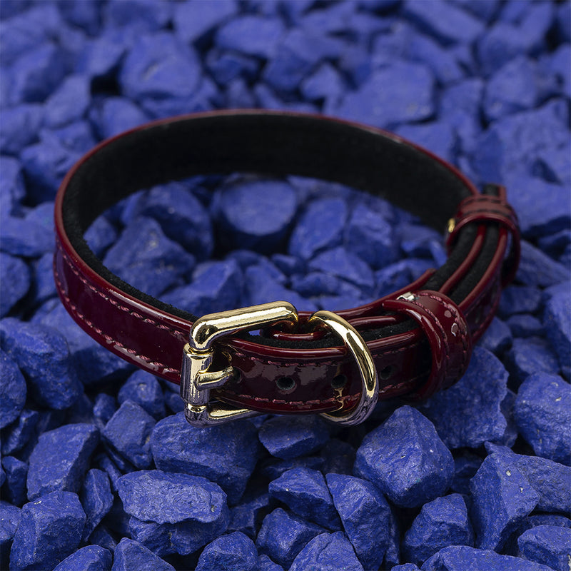 Leather Burgundy Collar on Blue Stone