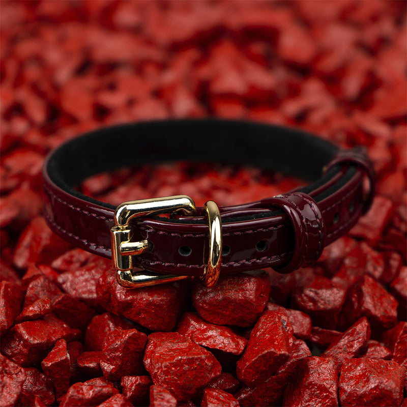 Leather Dog Collar on Red Stone