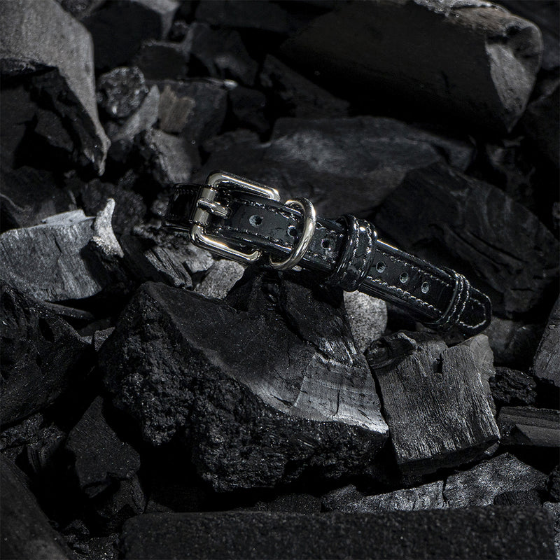Black leather collar photo on charcoal