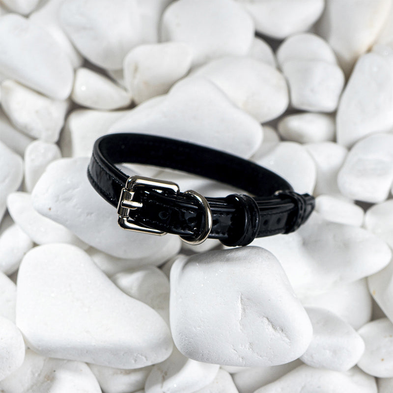 Dog Collar on White Stone