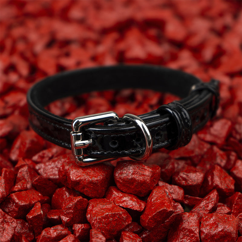 Black leather collar on red stones