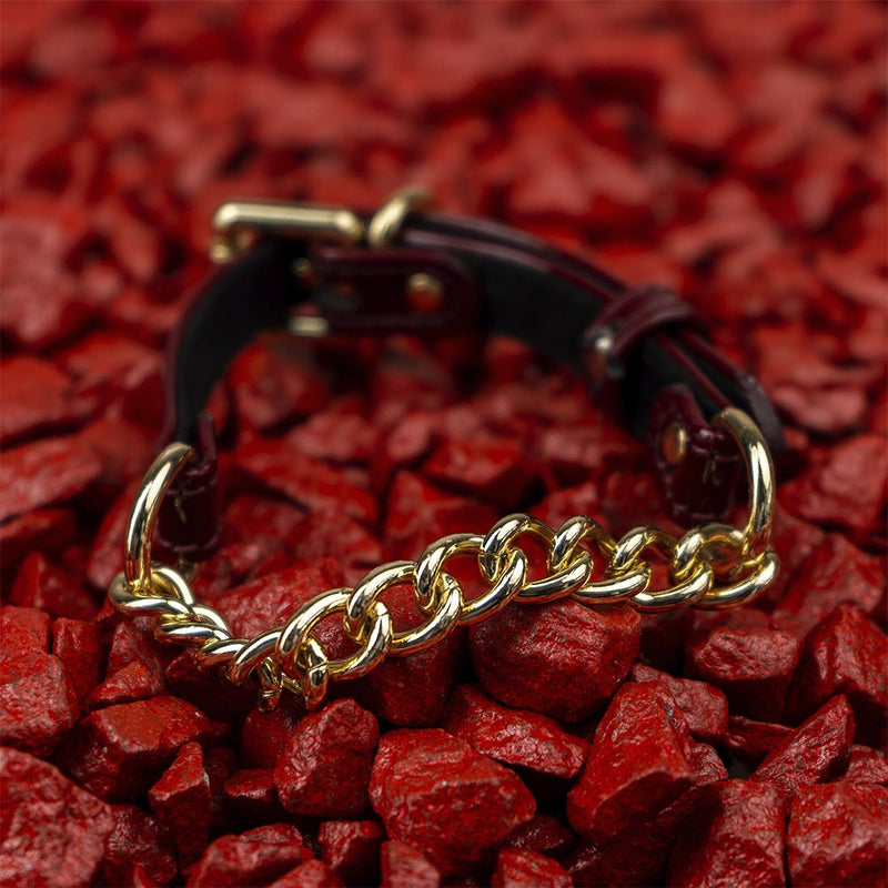 Burgundy Patent collar with chain on Red Stone