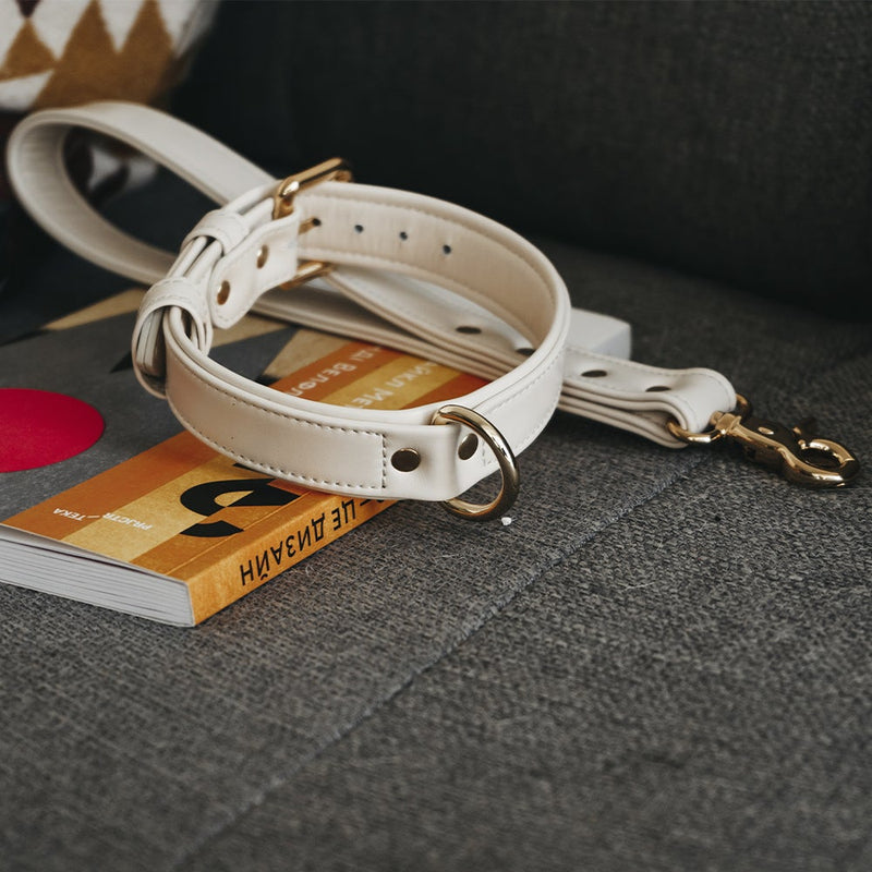 Leather Dog Leash and Collar