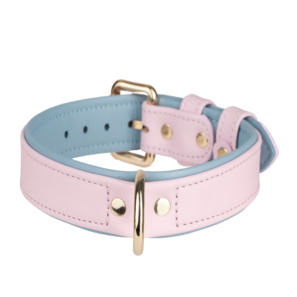 Collar Duo Pink-Light Blue