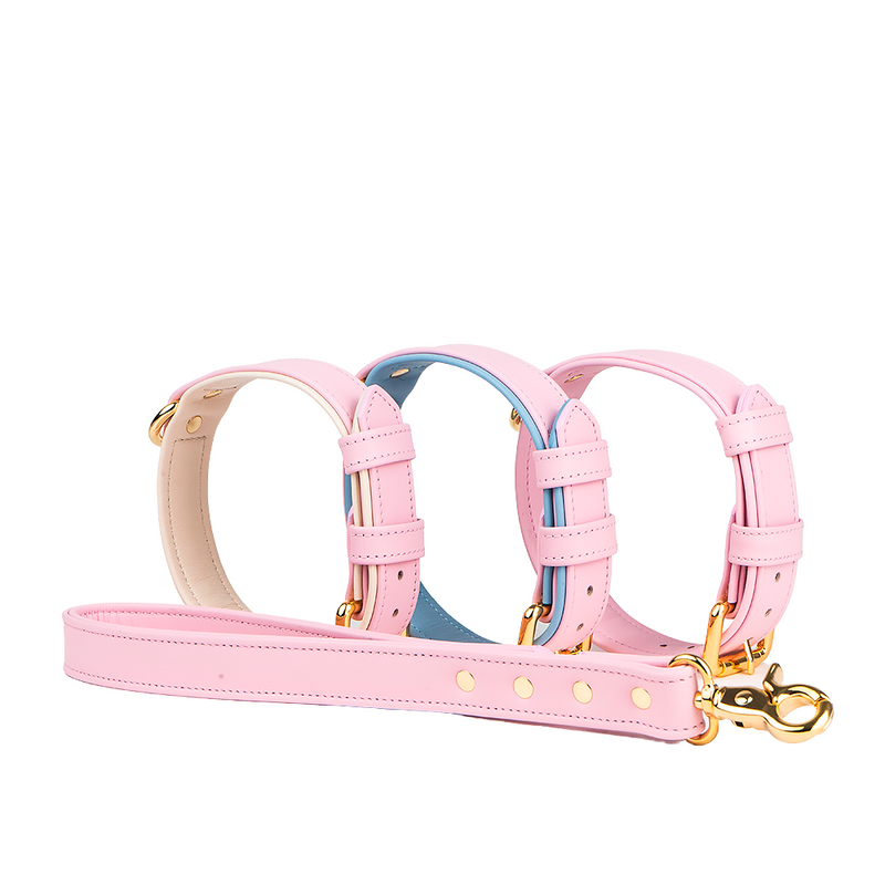 different variants of pink collars to the leash