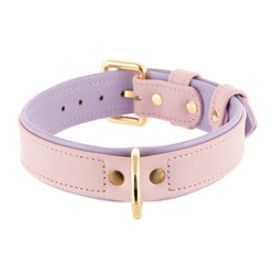 Collar Duo Pink-Light Violet
