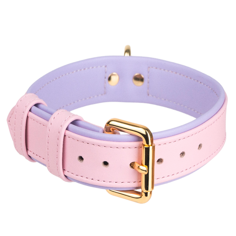 Purple leather dog 2024 collar