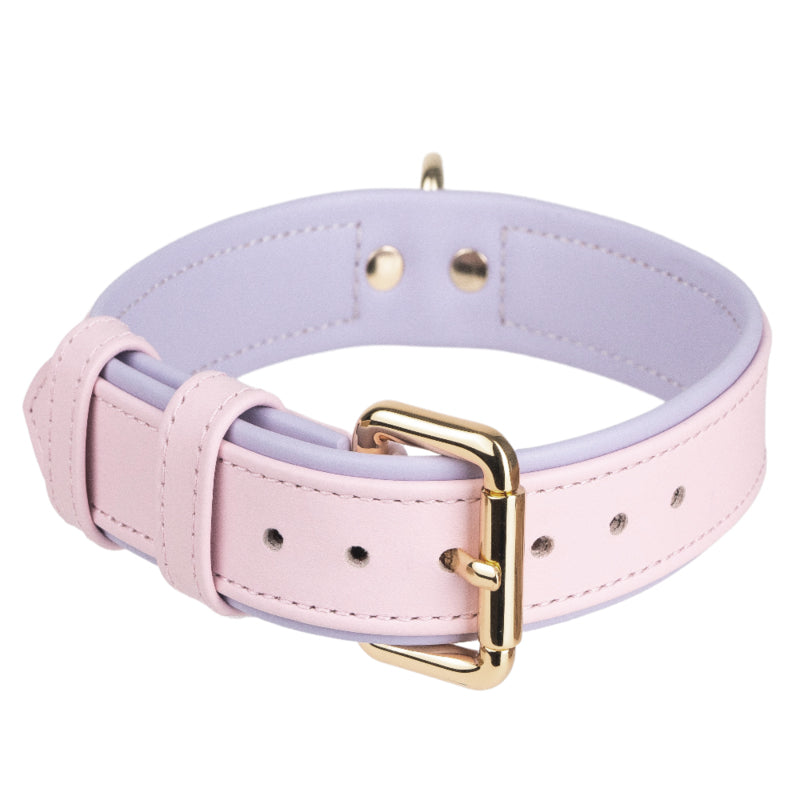 Collar Duo Pink-Light Violet