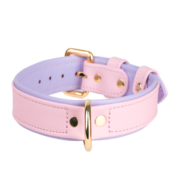 Leather Pink-Purple Dog Collar