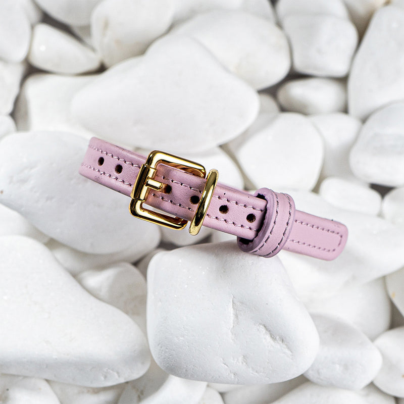 Leather Pink Collar on White Stone
