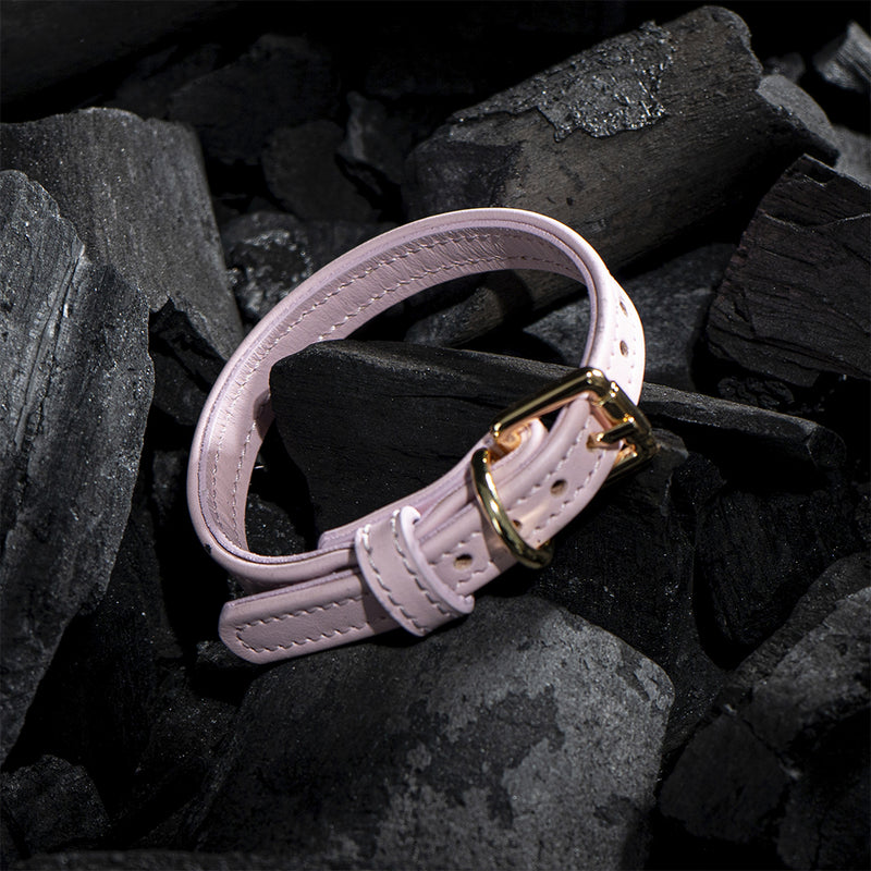 Leather Pink Collar on Black Coals