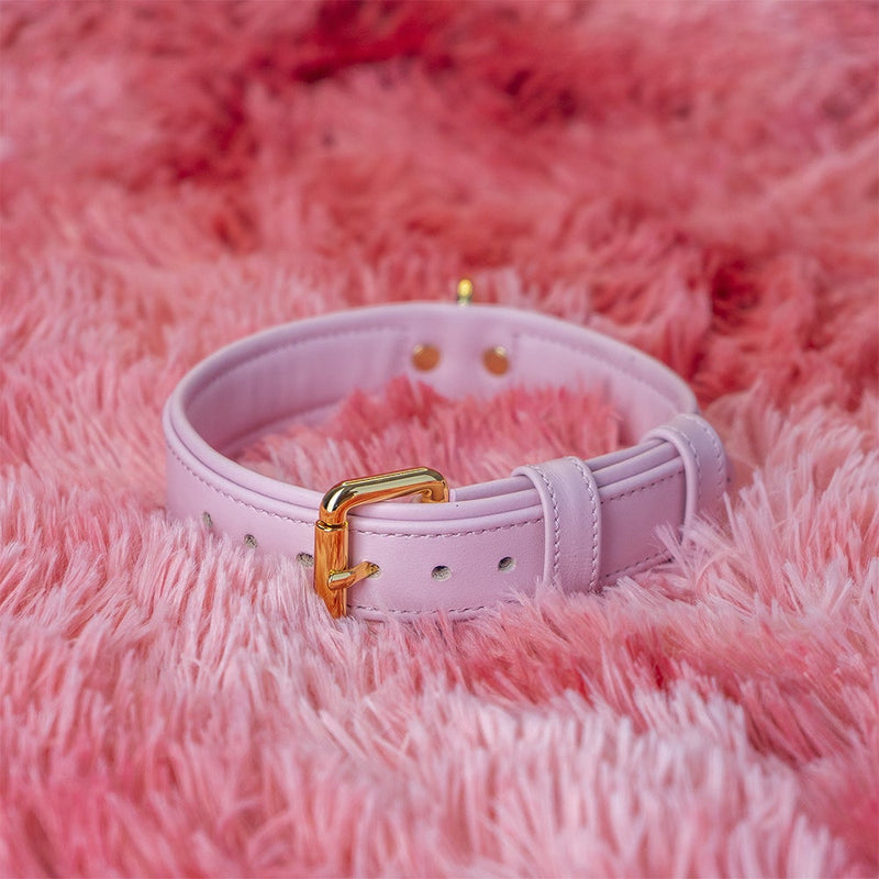 Dog Collar Girl