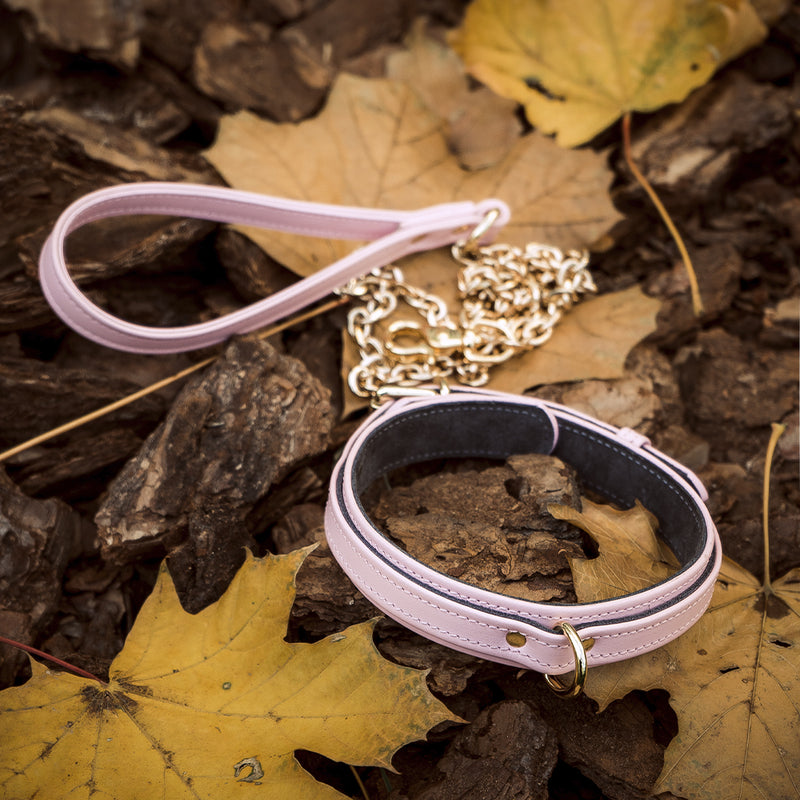 Dog Pink Collar and Gold Chain Leash with Autumn Leaves