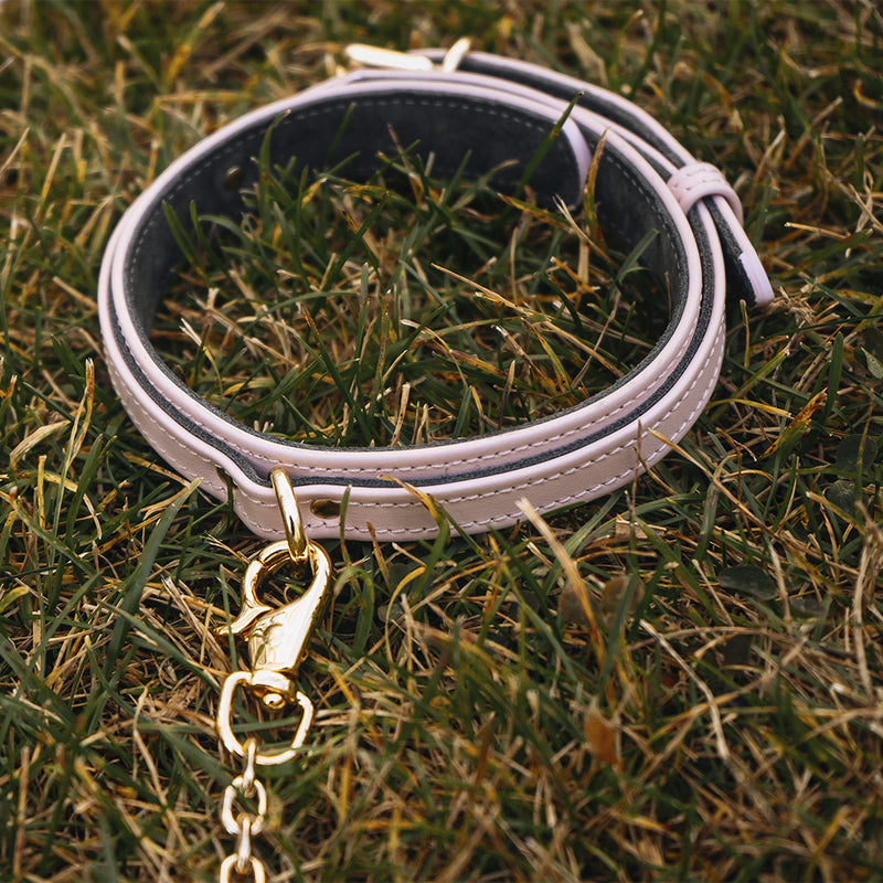 Dog collar Lobster Clasp