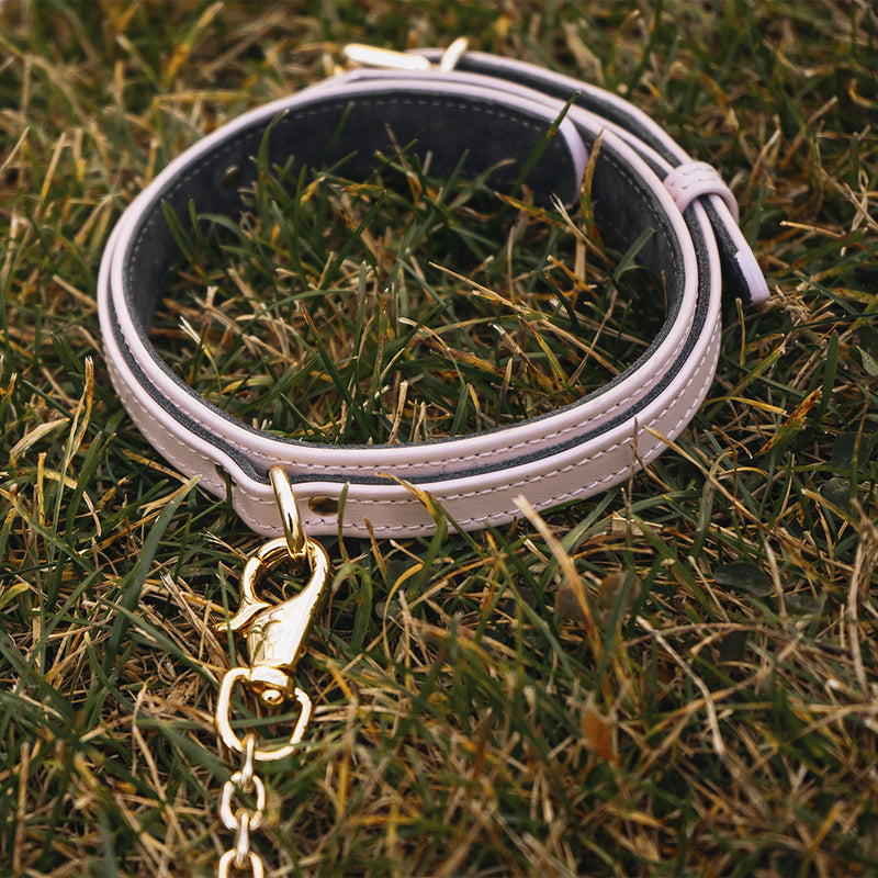 Dog Pink Collar and Chain Leash on Grass