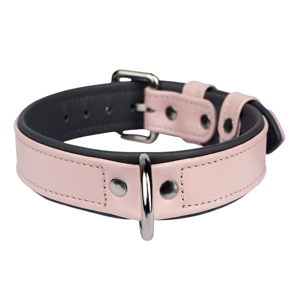 Leather Lotus-Steel Dog Collar