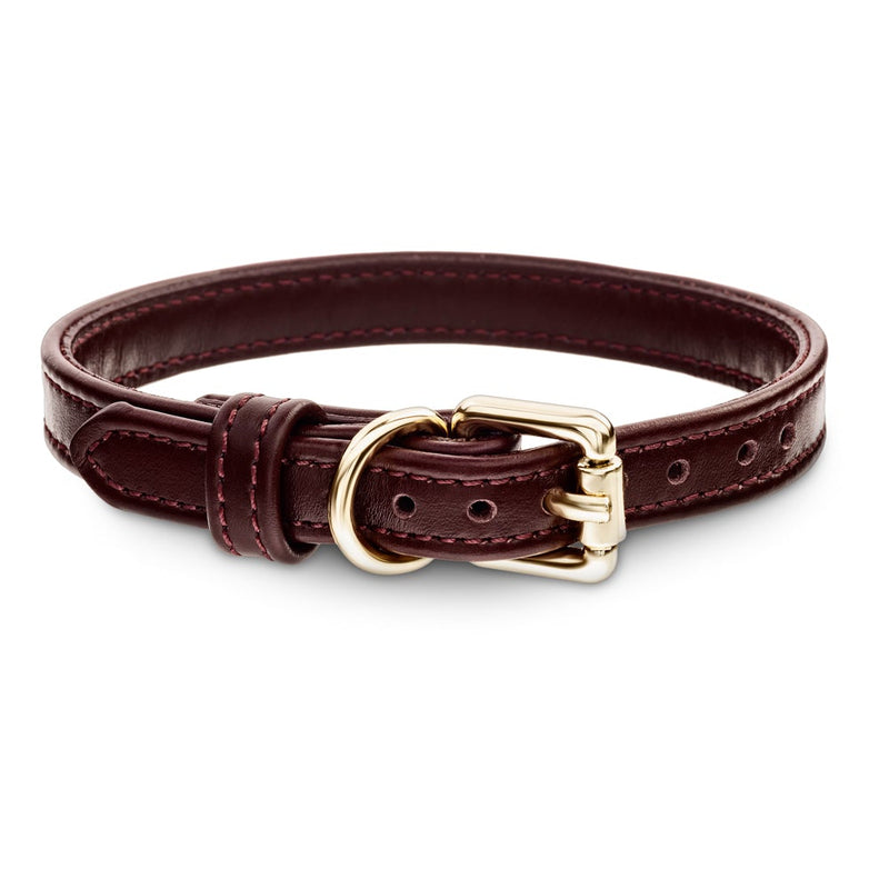 Dog Burgundy Collar with Gold Hardware