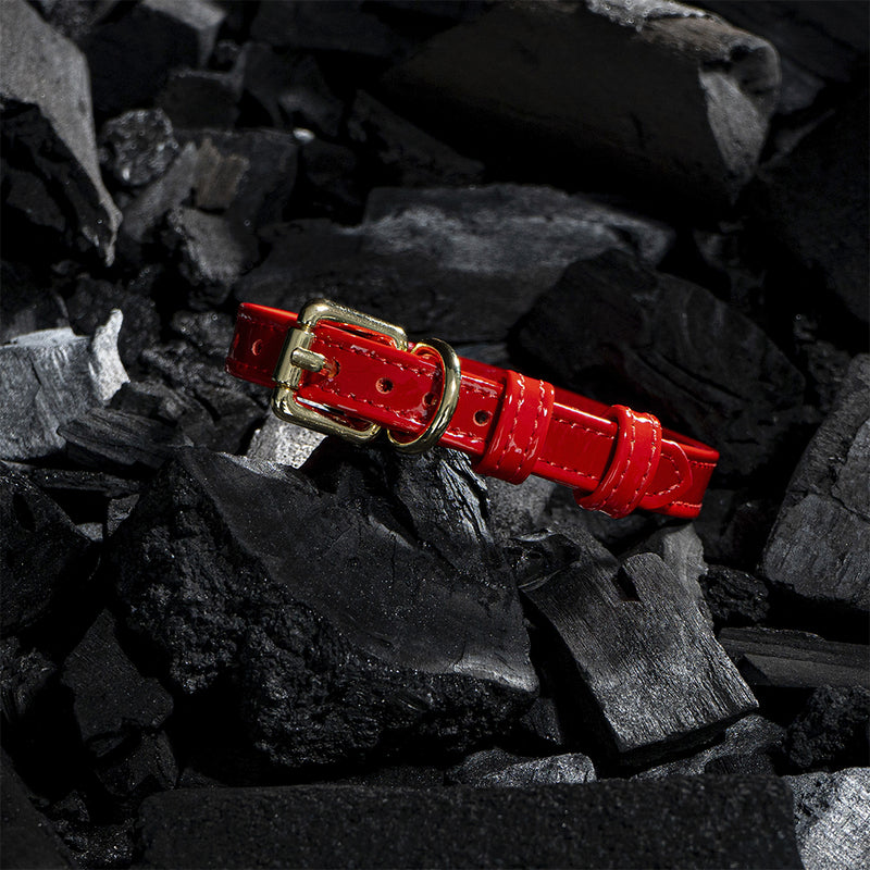 Red Patent Collar on Black Coals