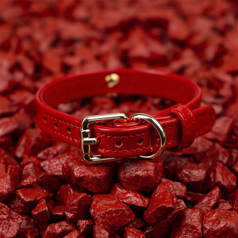 Dog Red Patent Collar with Metal Ring on Red Stone Another Side