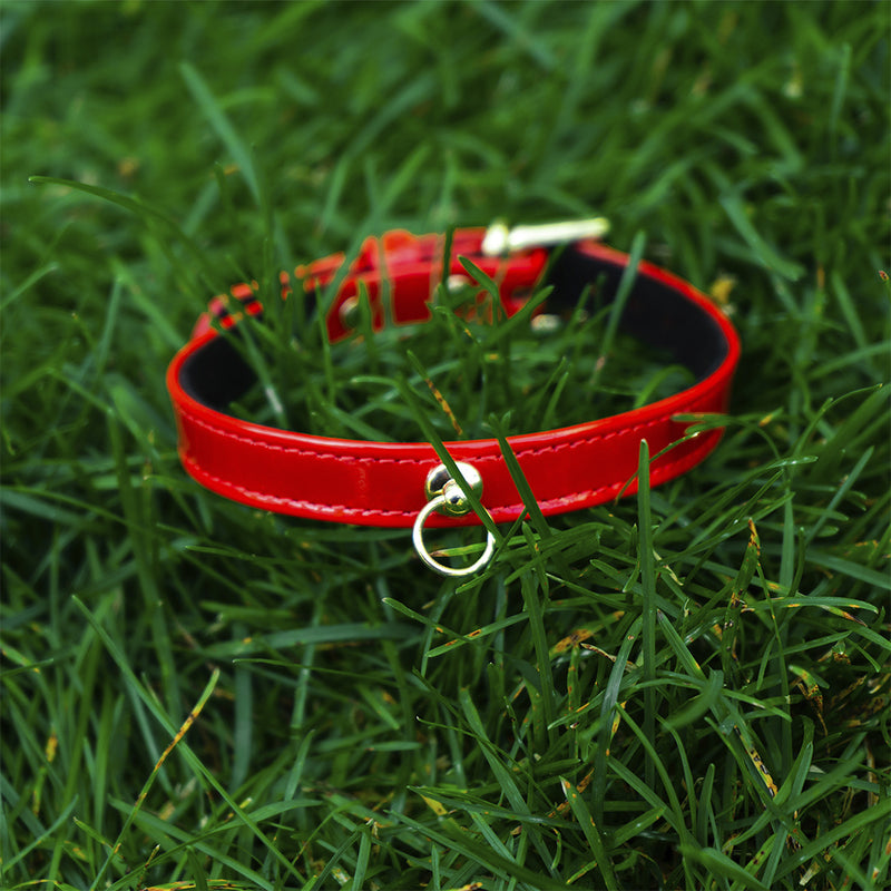 Dog Red Patent Collar with Metal Ring on Grass
