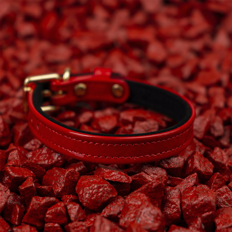 Red Patent Collar on Red Stone