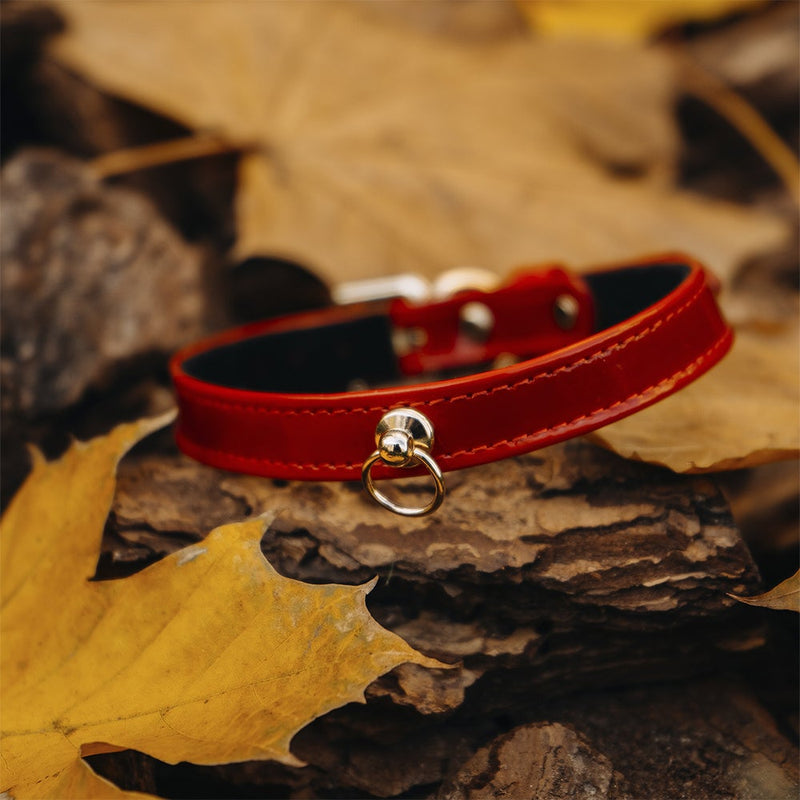 Dog Red Patent Collar with Autumn Leaves