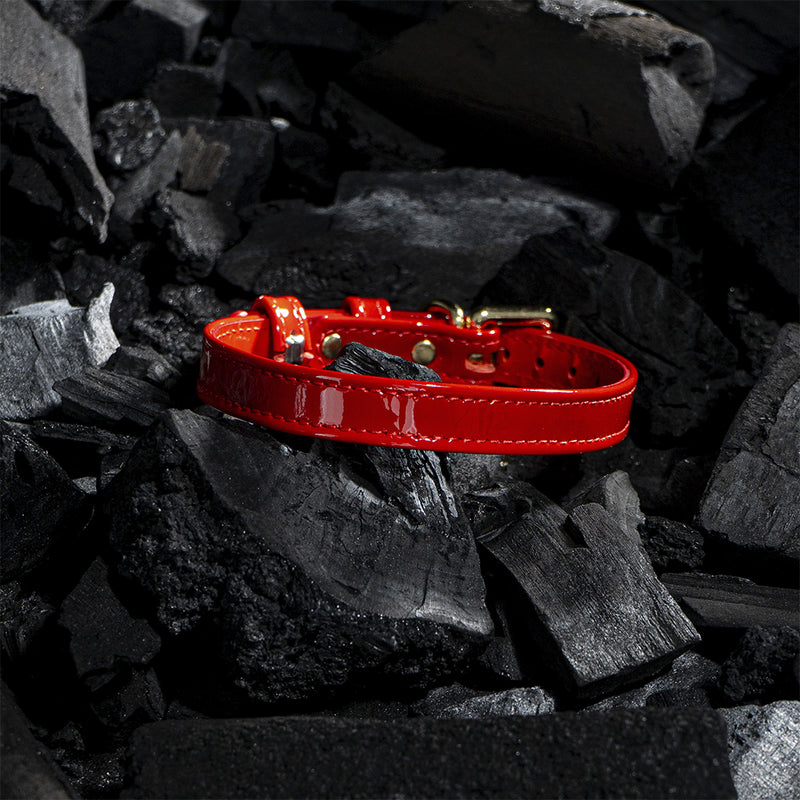 Red Patent Collar on Black Coals Another Side