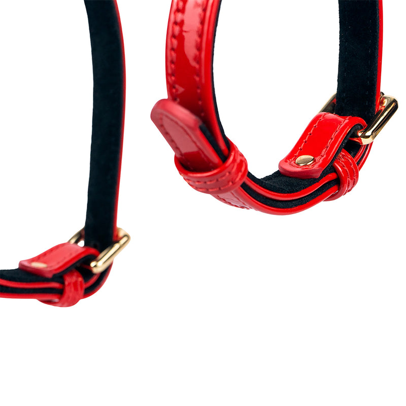 Red Leather Dog Harness with Gold Hardware